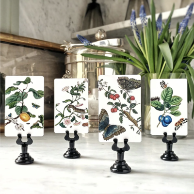 Signs of Spring Place Cards (16) - Upright