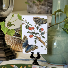 Signs of Spring Place Cards (16) - Upright