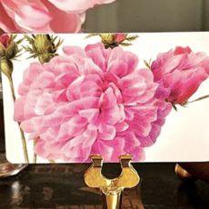 Rose Garden Place Cards (16) - Upright