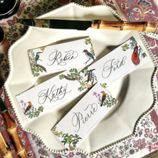 Birds of India Place Cards  (16) -  Laydown