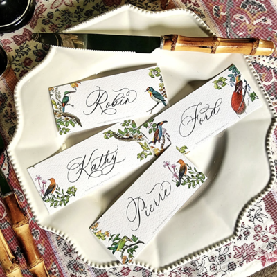 Birds of India Place Cards  (16) -  Laydown