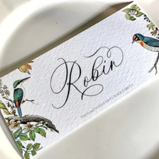Birds of India Place Cards  (16) -  Laydown