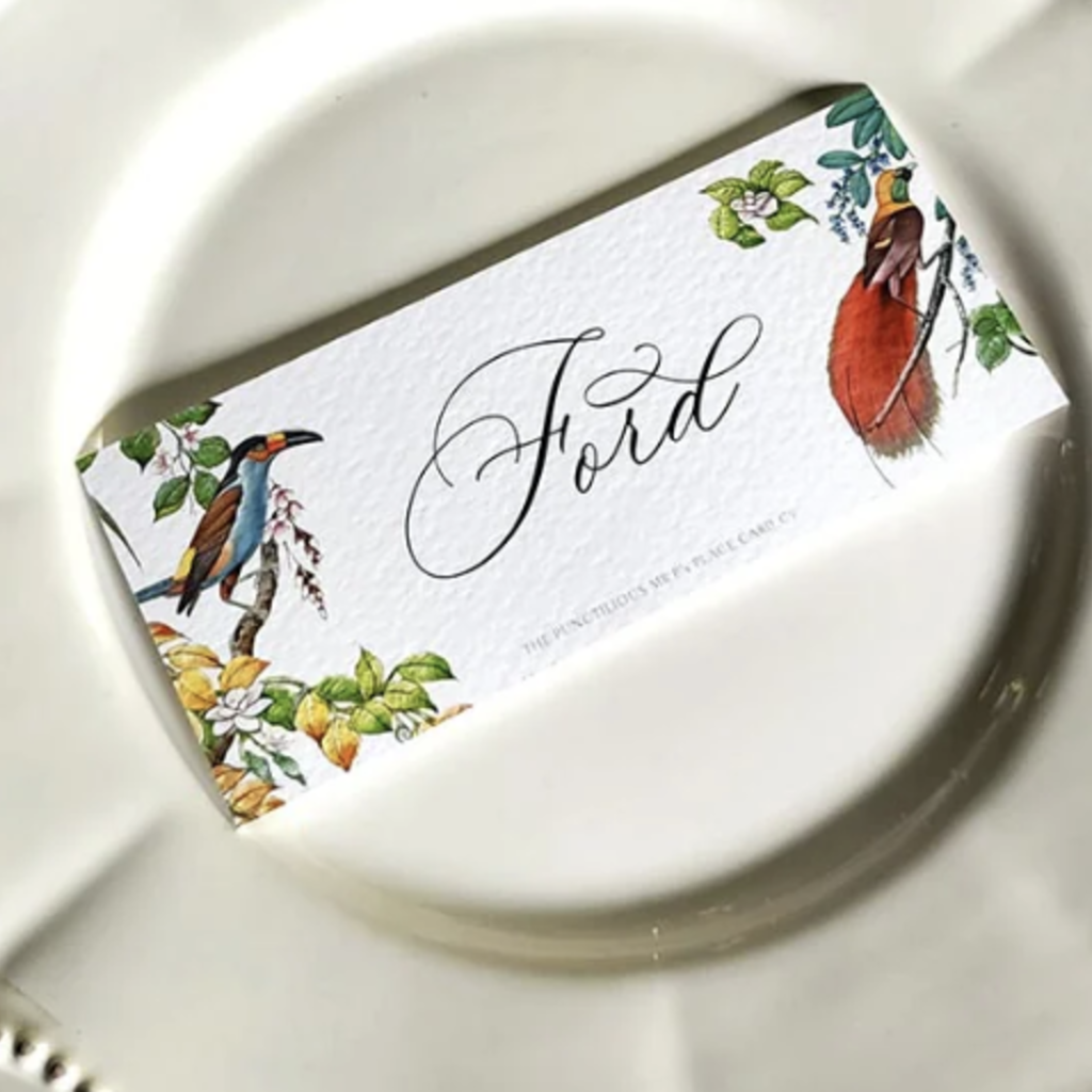 Birds of India Place Cards  (16) -  Laydown