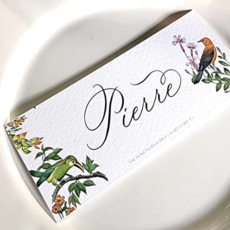 Birds of India Place Cards  (16) -  Laydown