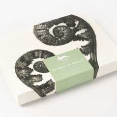 Wonders of Nature Correspondence Set