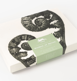 Wonders of Nature Correspondence Set