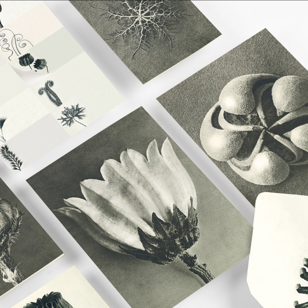 Wonders of Nature Correspondence Set