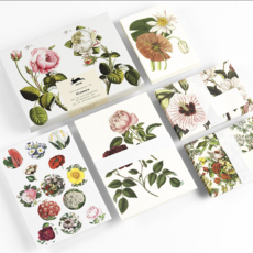 Flowers Correspondence Set
