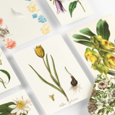 Flowers Correspondence Set