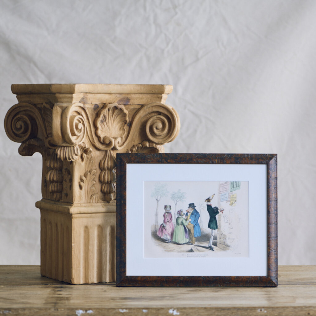Framed Animal Print