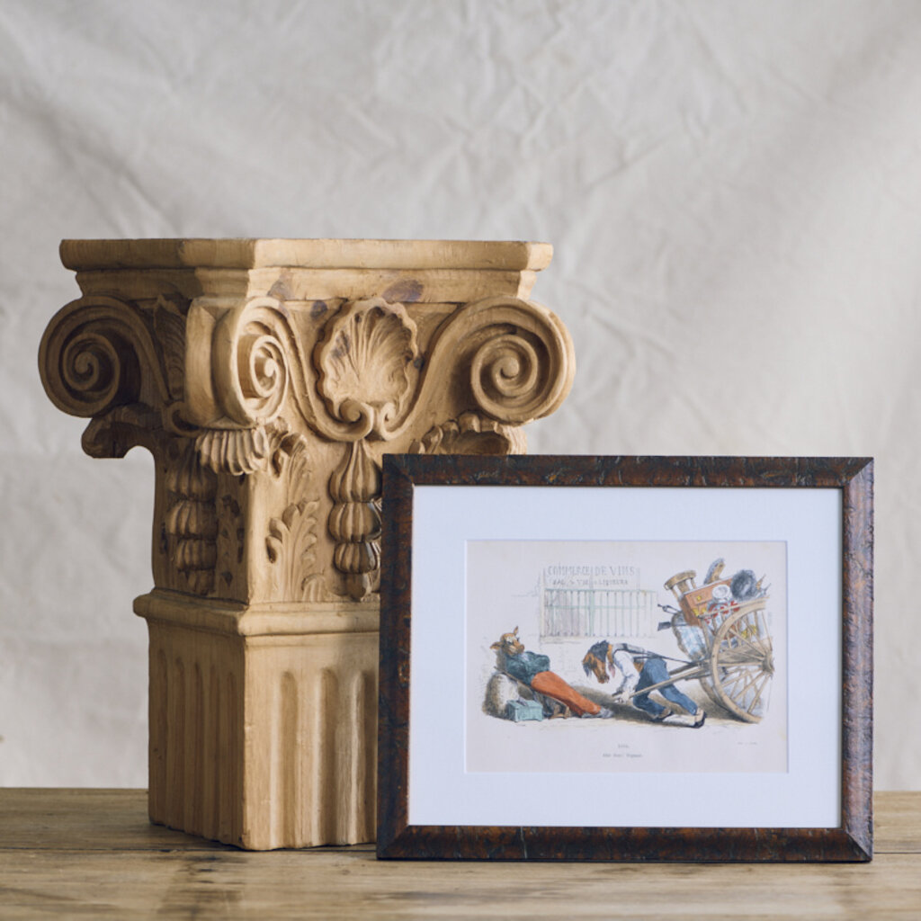 Framed Animal Print