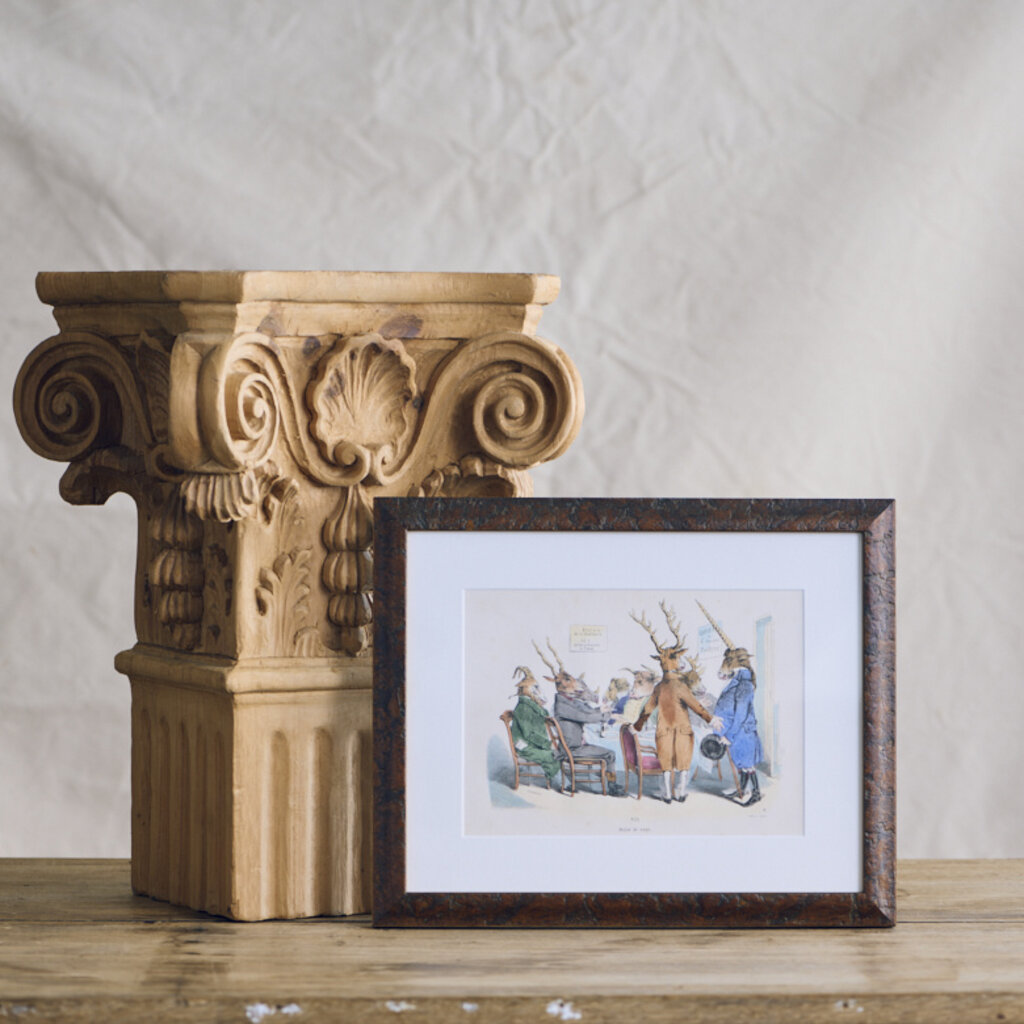 Framed Animal Print
