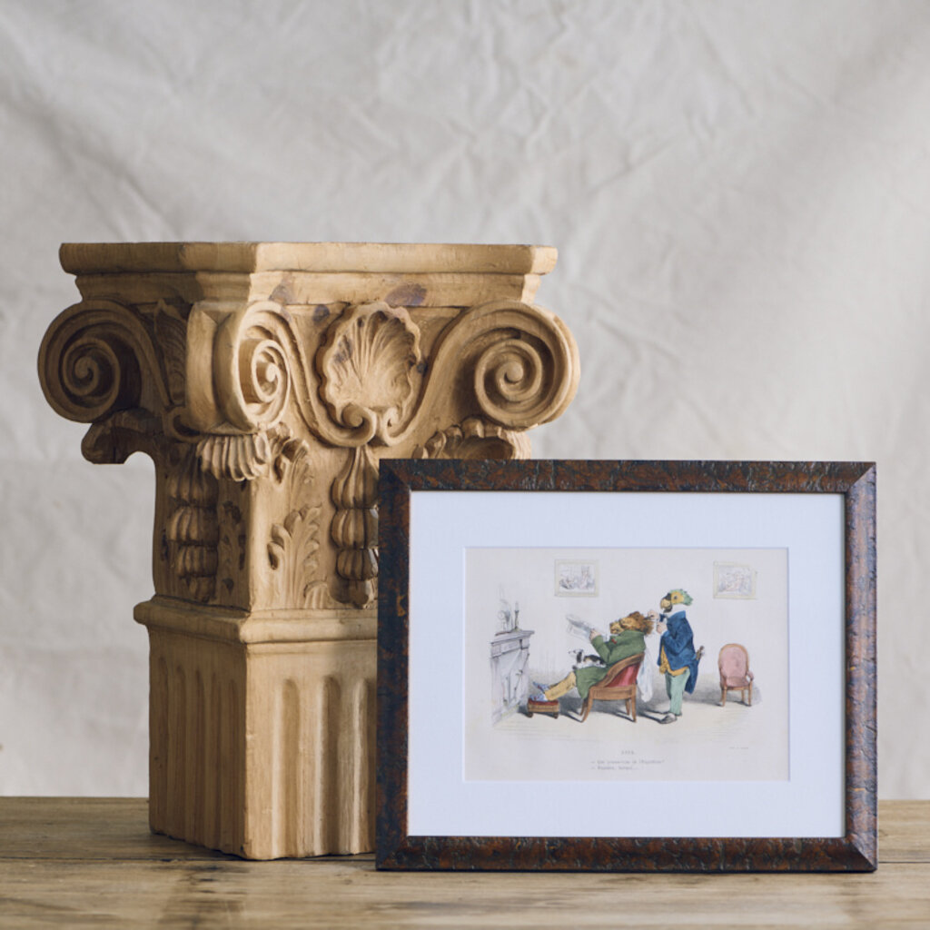 Framed Animal Print