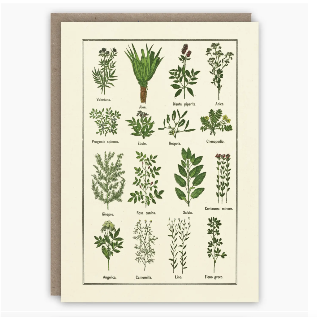 Healthy Herbs Card