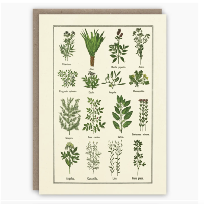 Healthy Herbs Card