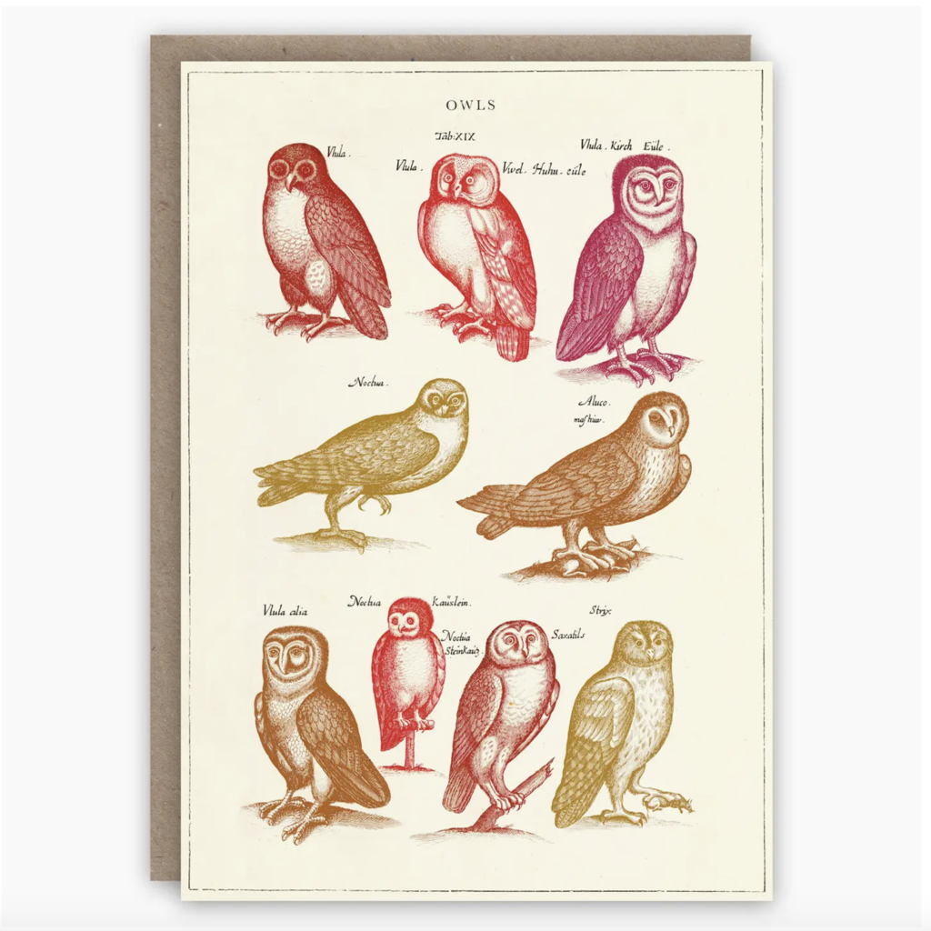 Owls Card