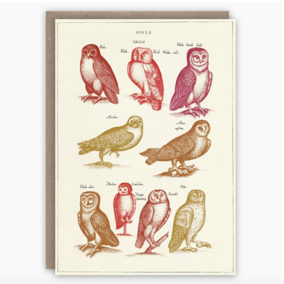 Owls Card