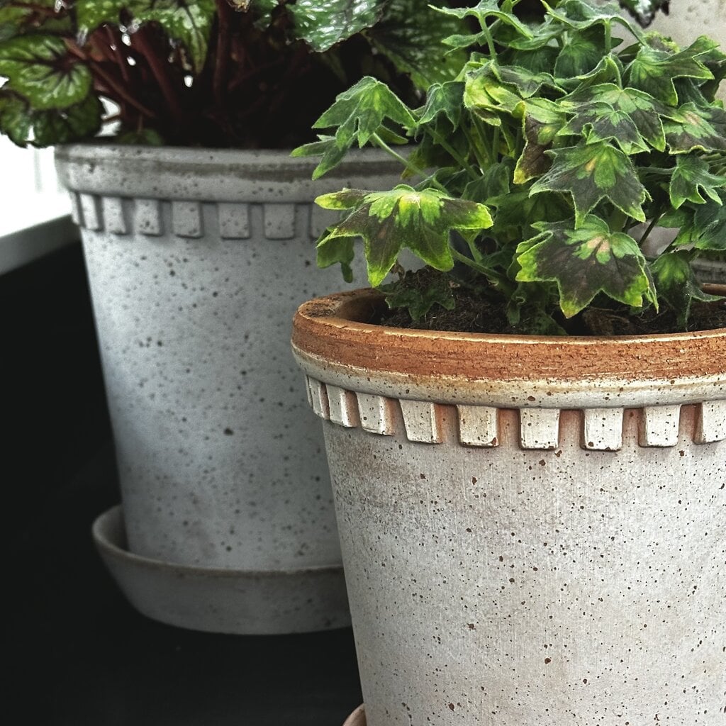 Honeychurch Coventry Terracotta Pot w/ Saucer