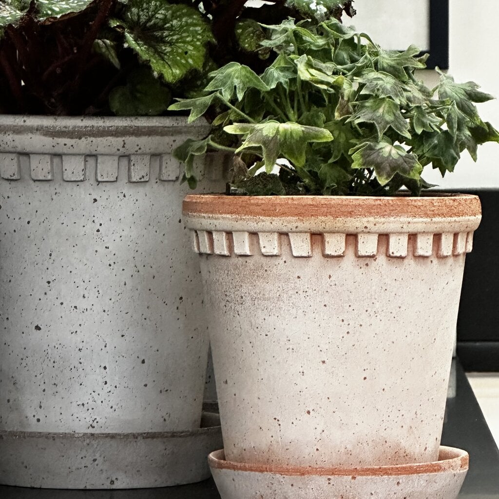 Honeychurch Coventry Terracotta Pot w/ Saucer