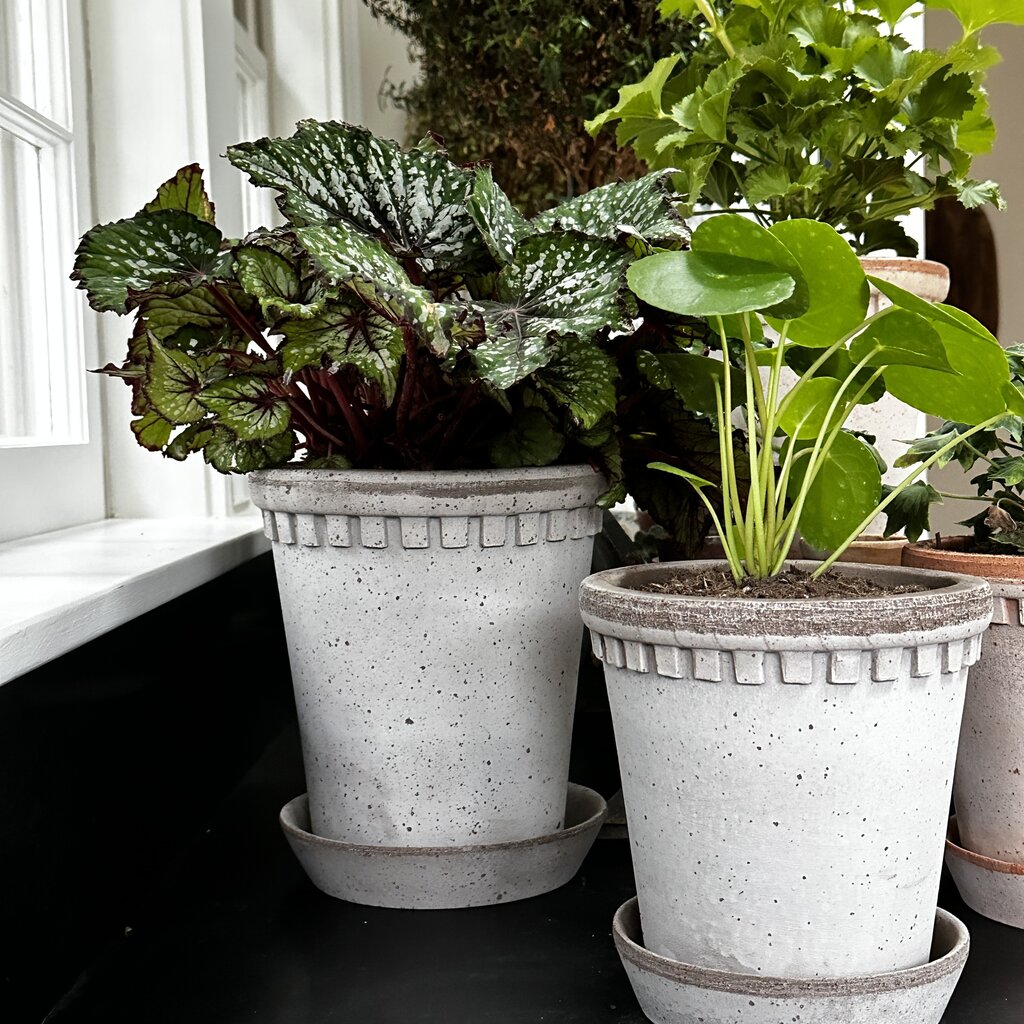 Coventry Terracotta Pot w/ Saucer