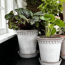 Coventry Terracotta Pot w/ Saucer