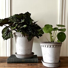 Coventry Terracotta Pot w/ Saucer