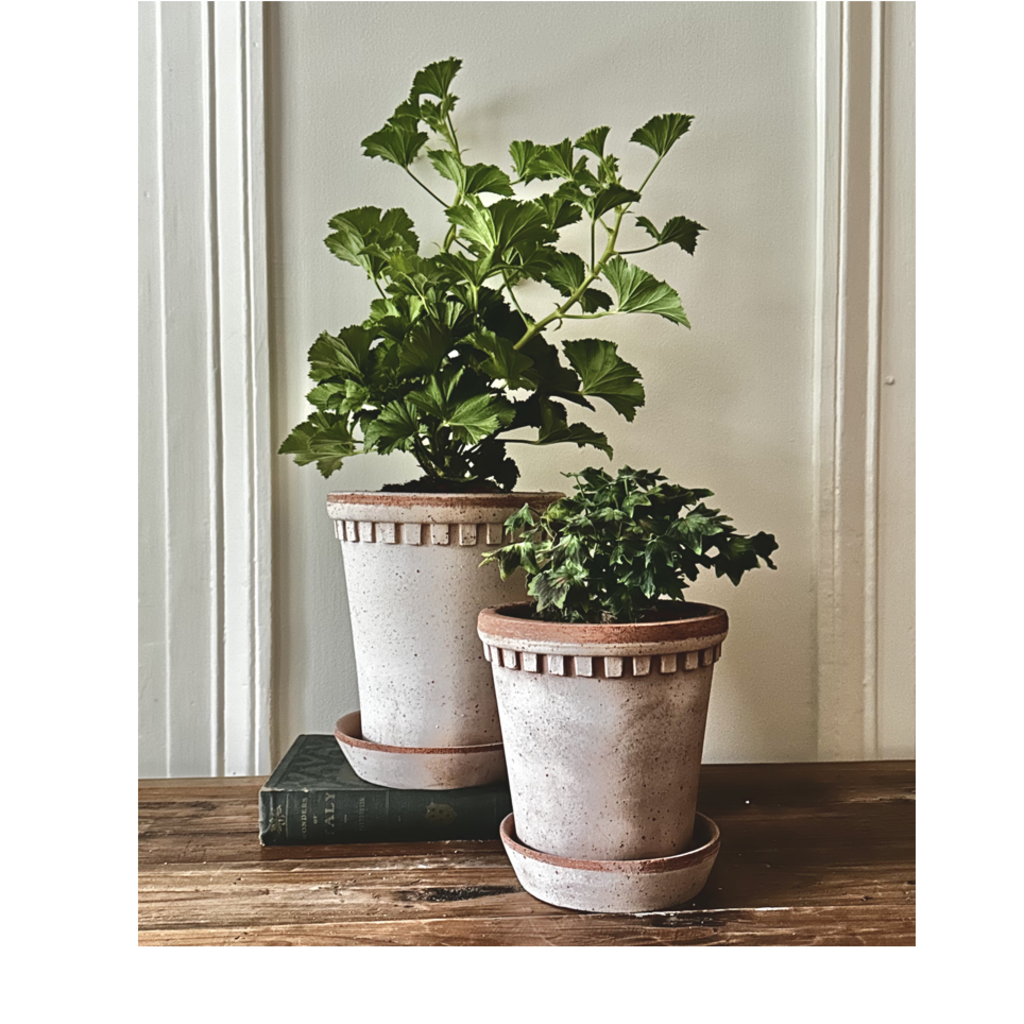 Honeychurch Coventry Terracotta Pot w/ Saucer