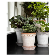 Honeychurch Coventry Terracotta Pot w/ Saucer