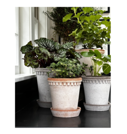 Honeychurch Coventry Terracotta Pot w/ Saucer