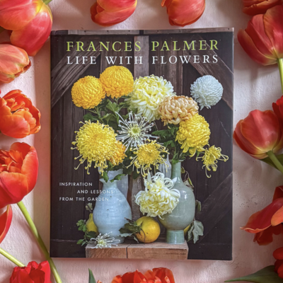 Book Signing with Frances Palmer