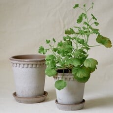 Honeychurch Coventry Terracotta Pot w/ Saucer