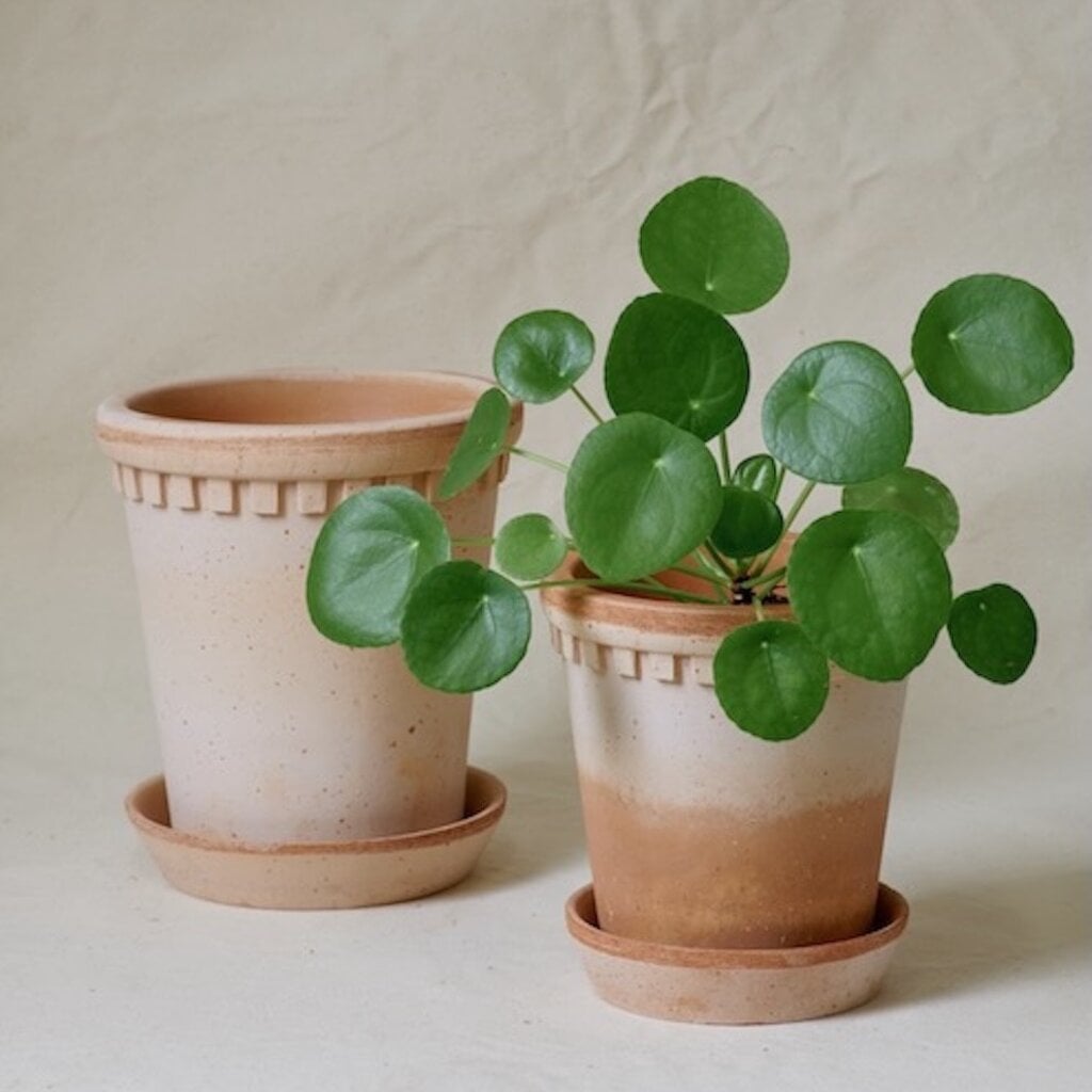 Honeychurch Coventry Terracotta Pot w/ Saucer