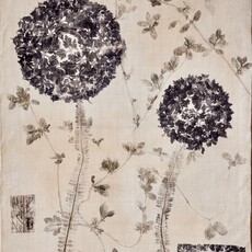 Botanical Print #1
