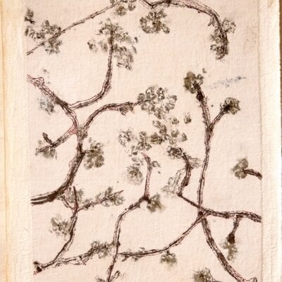 Botanical Print #6