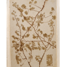 Botanical Print #3