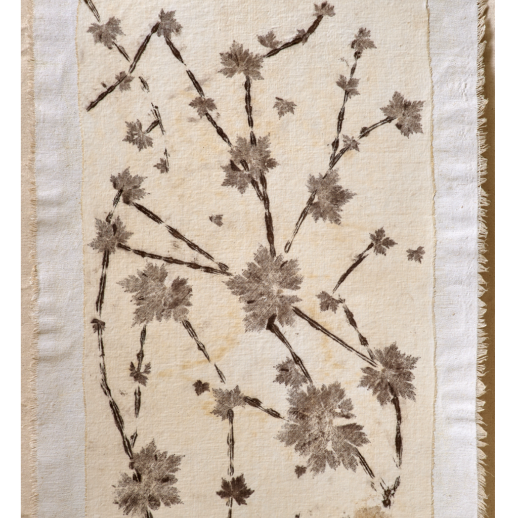 Botanical Print #7