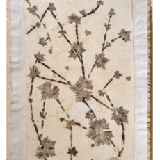 Botanical Print #7