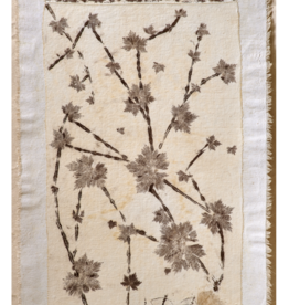 Botanical Print #7