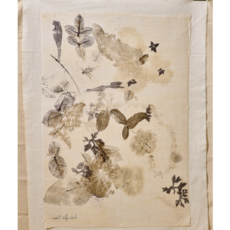 Botanical Print #5