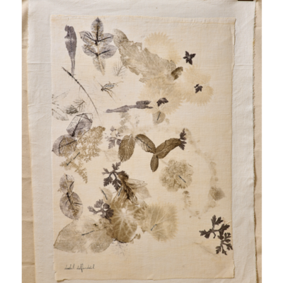 Botanical Print #5