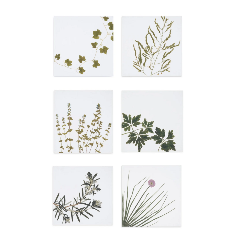 Summerill & Bishop Gastronomic Herb Napkin -