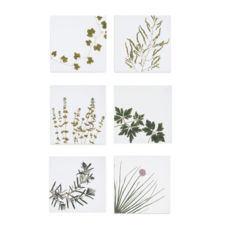 Summerill & Bishop Gastronomic Herb Napkin -