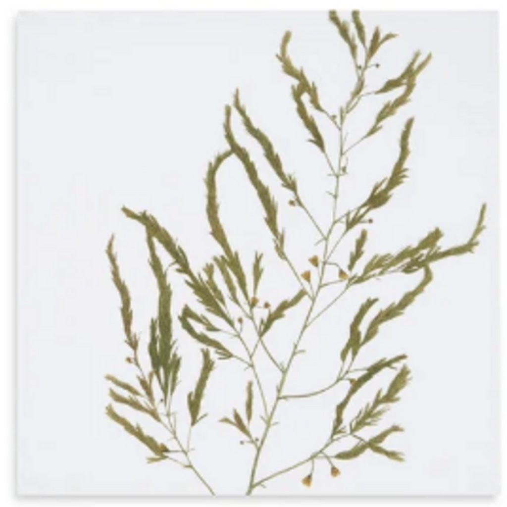 Summerill & Bishop Gastronomic Herb Napkin -
