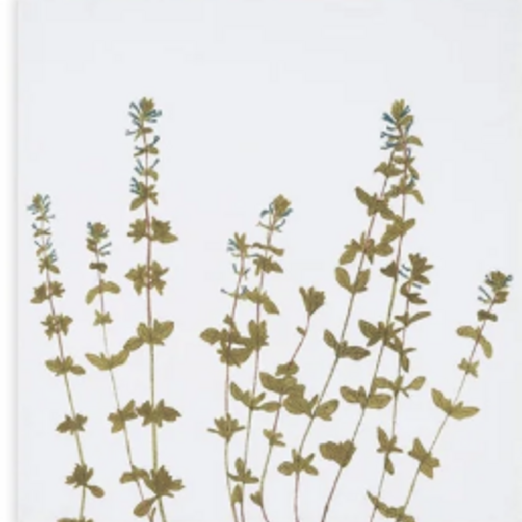 Summerill & Bishop Gastronomic Herb Napkin -