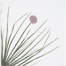 Summerill & Bishop Gastronomic Herb Napkin -