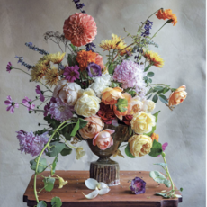 Flower Pop Up / Book Signing with Frances Palmer