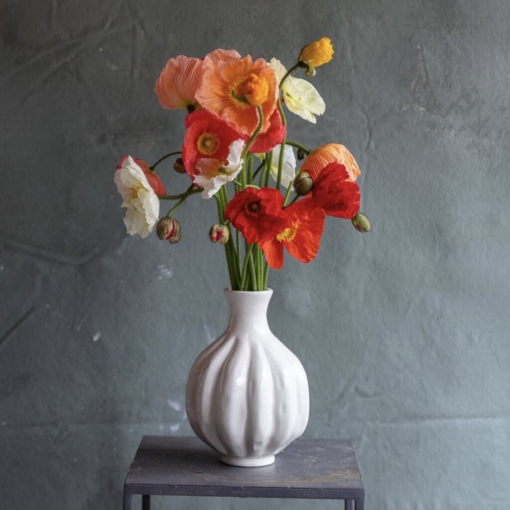 Flower Pop Up / Book Signing with Frances Palmer