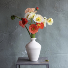 Flower Pop Up / Book Signing with Frances Palmer