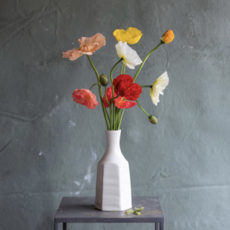 Flower Pop Up / Book Signing with Frances Palmer