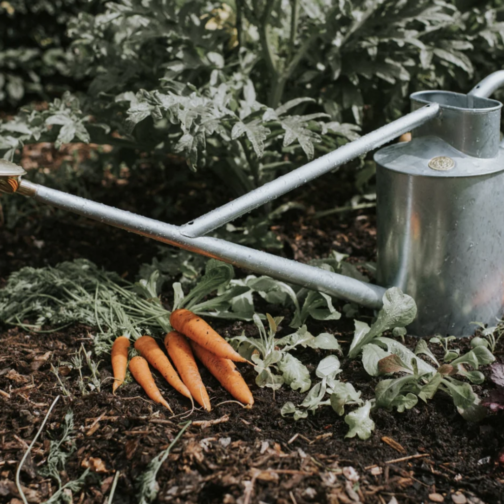 The Warley Fall - One Gallon